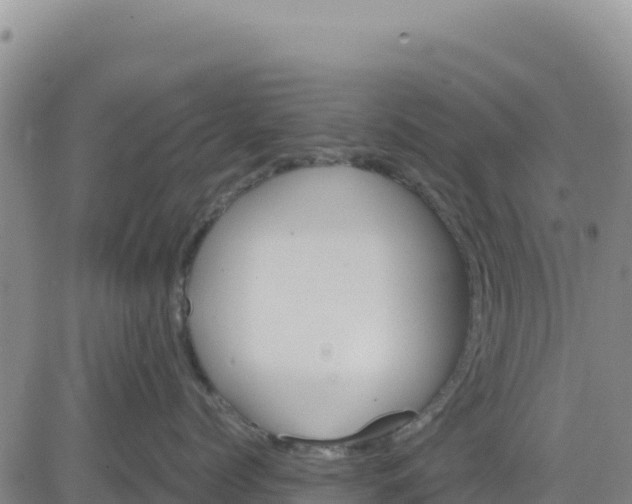 X0000080680768200612301425