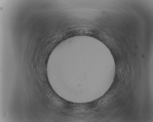 X0000080680769200612301424