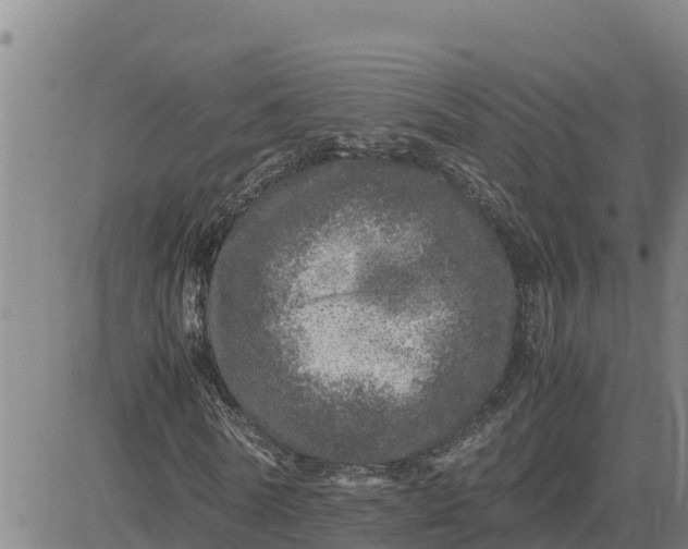 X0000080680770200612301424