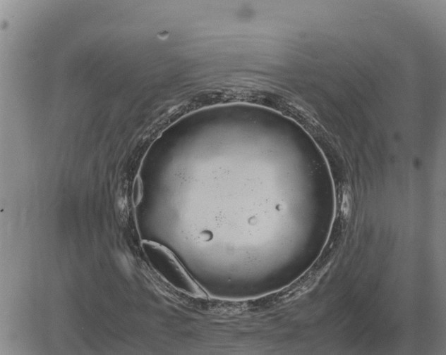 X0000080680771200612301424