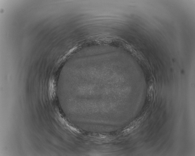 X0000080680772200612301424