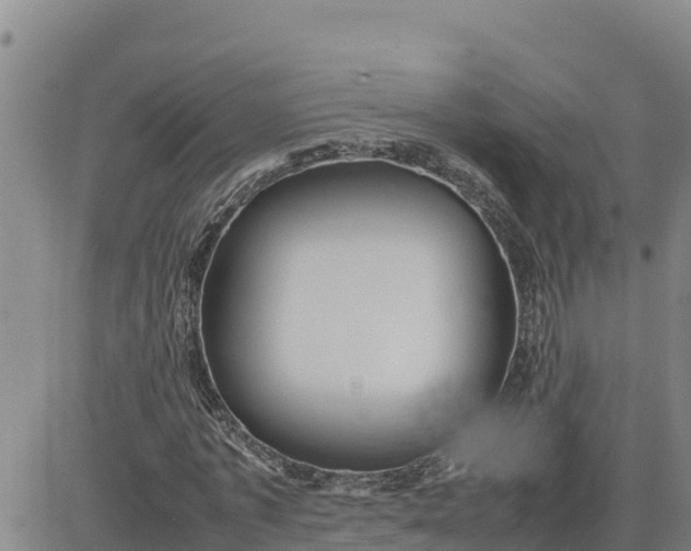 X0000080680773200612301424