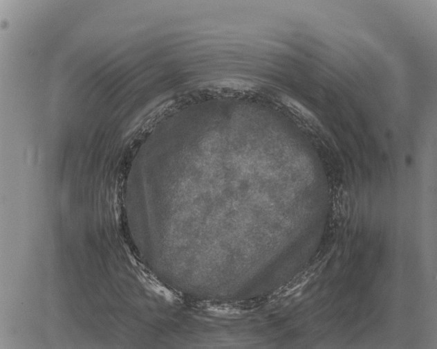 X0000080680774200612301424