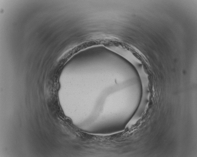 X0000080680775200612301424