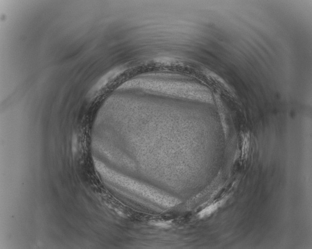 X0000080680776200612301424