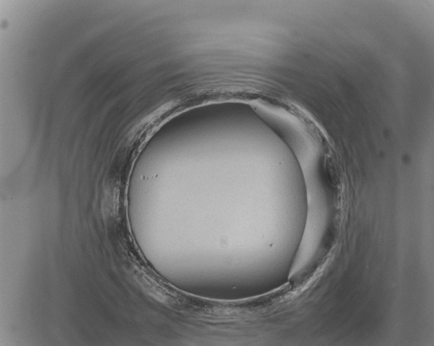 X0000080680777200612301424