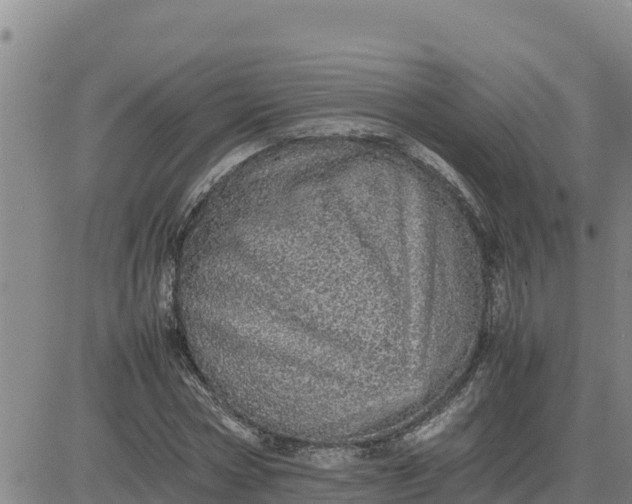 X0000080680778200612301424