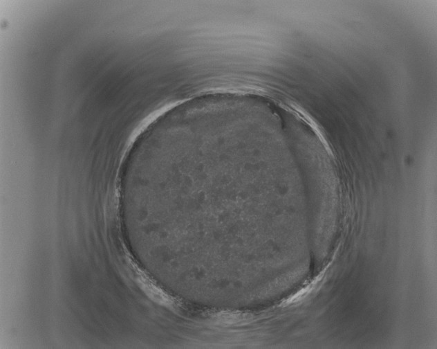 X0000080680779200612301424