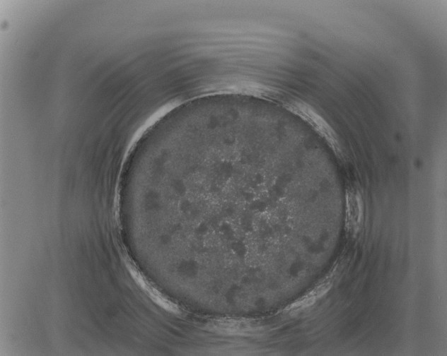 X0000080680780200612301424