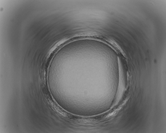 X0000080680781200612301424