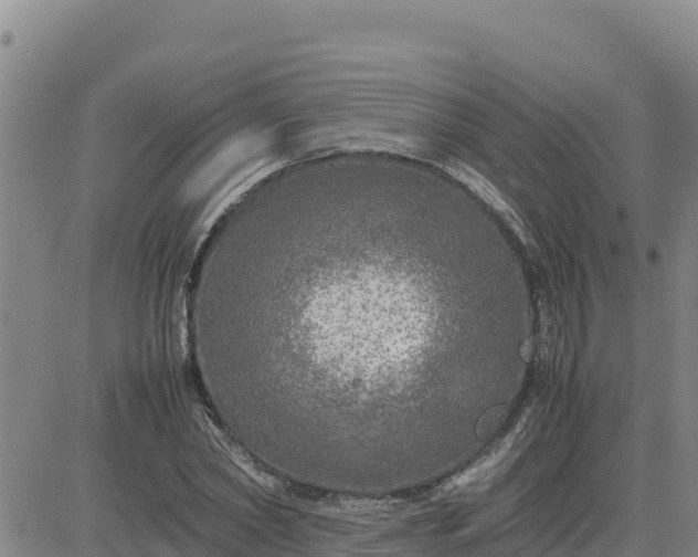 X0000080680782200612301424