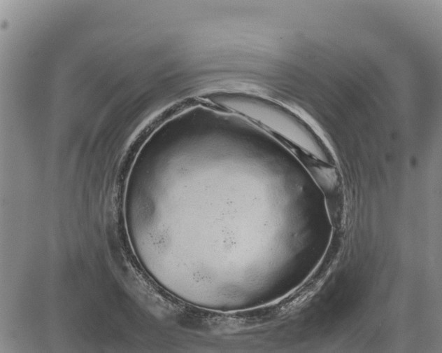 X0000080680783200612301424