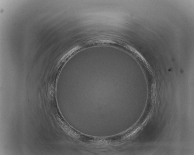 X0000080680785200612301423