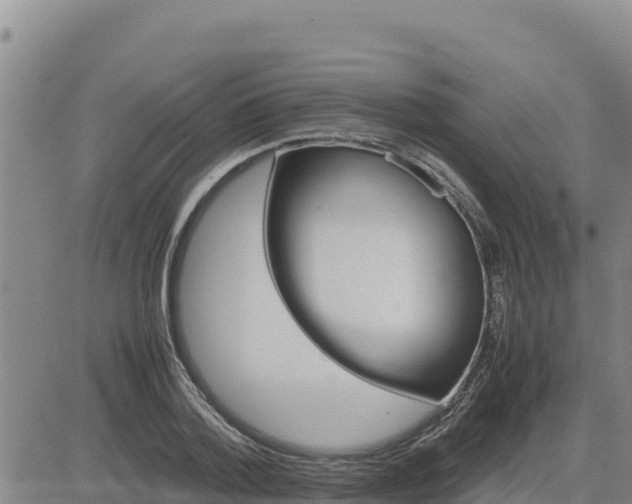 X0000080680788200612301423