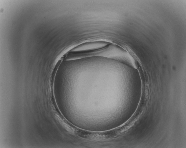 X0000080680789200612301423