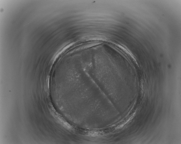 X0000080680790200612301423