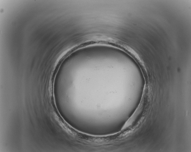 X0000080680791200612301423