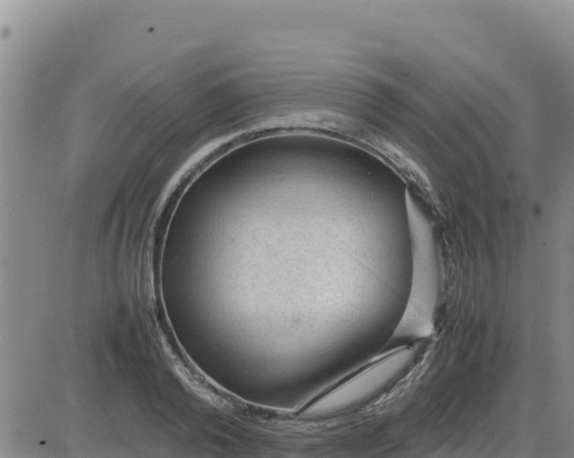 X0000080680792200612301423