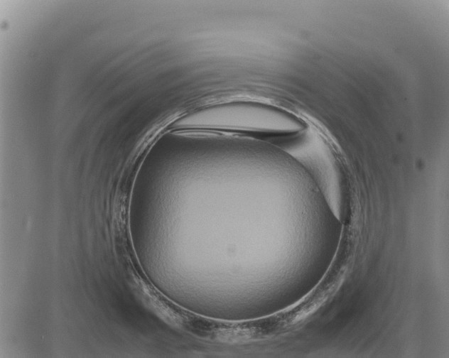 X0000080680793200612301423