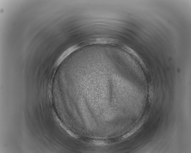 X0000080680794200612301423