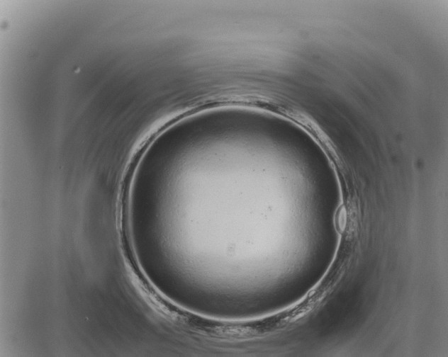 X0000080680795200612301423