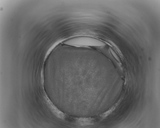 X0000080680796200612301423