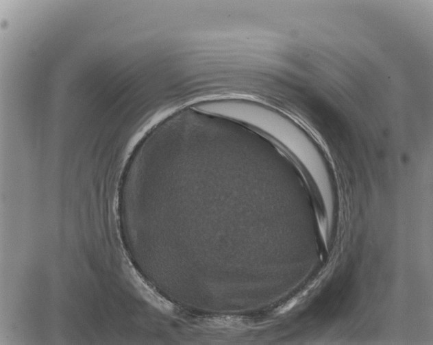 X0000080680797200612301423