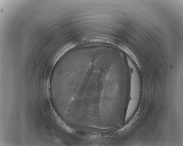 X0000080680798200612301423