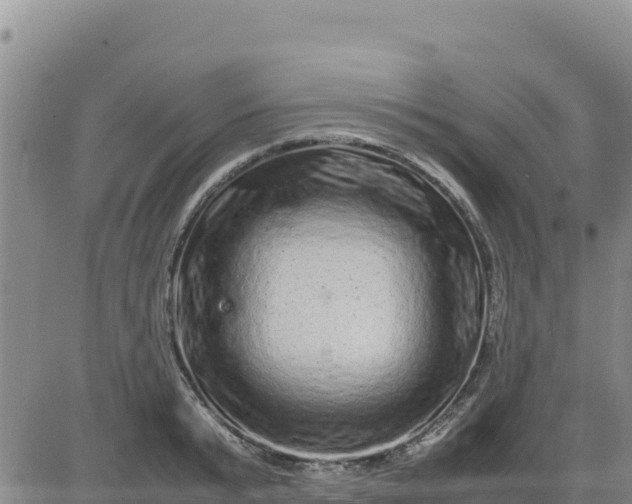 X0000080680799200612301423