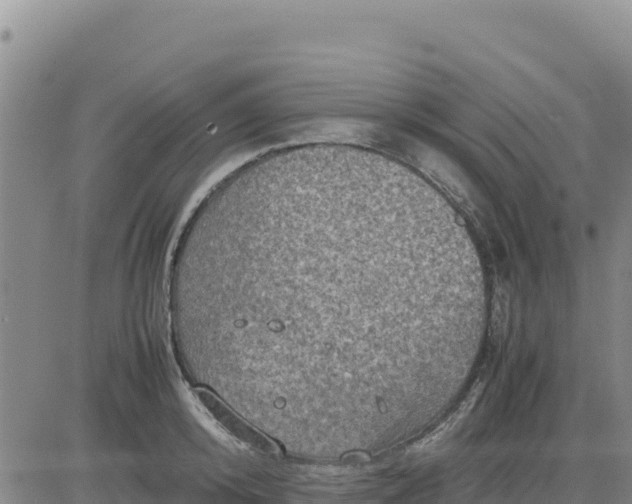 X0000080680800200612301423