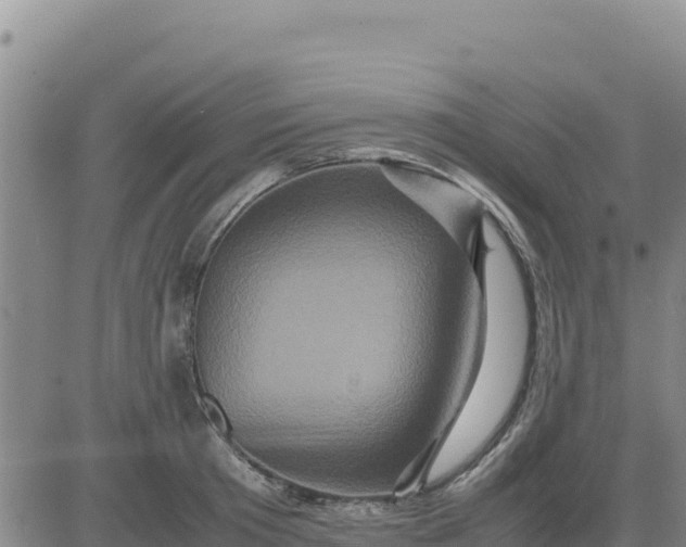 X0000080680801200612301423