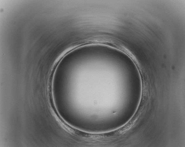 X0000080680803200612301423