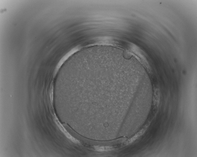 X0000080680804200612301423