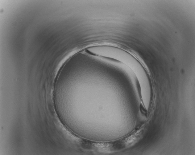 X0000080680805200612301423