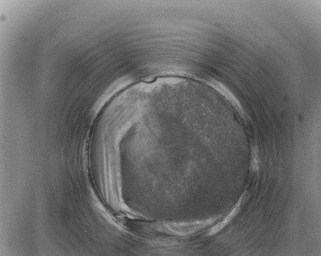 X0000080680806200612301423