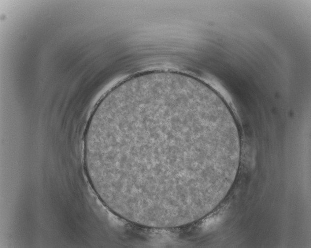 X0000080680807200612301423