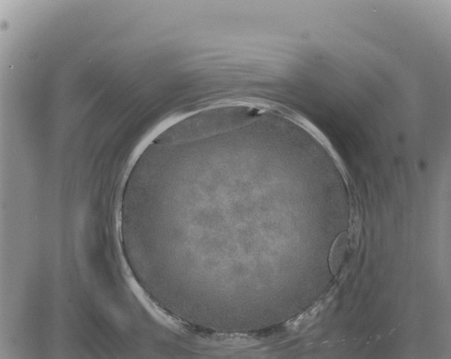 X0000080680811200612301423