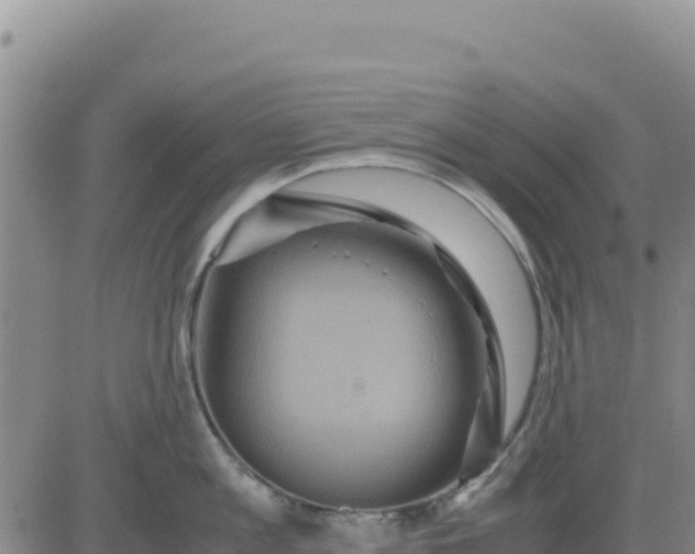 X0000080680813200612301423