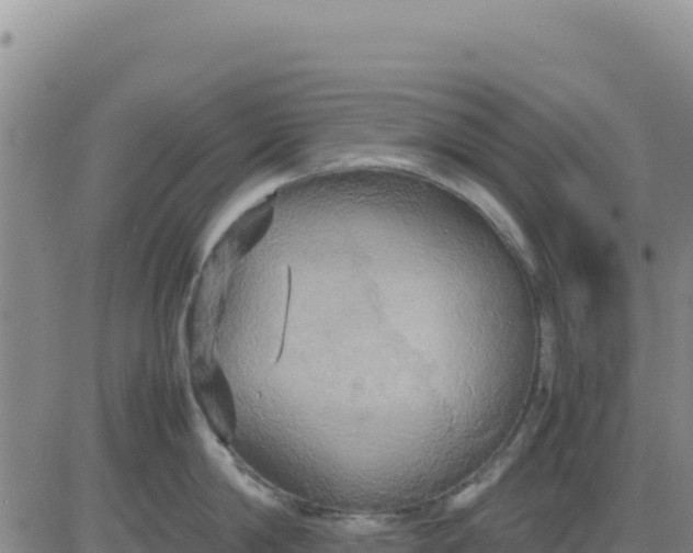 X0000080680814200612301423