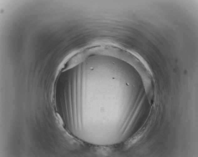 X0000080680815200612301423