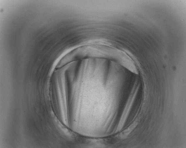 X0000080680816200612301423