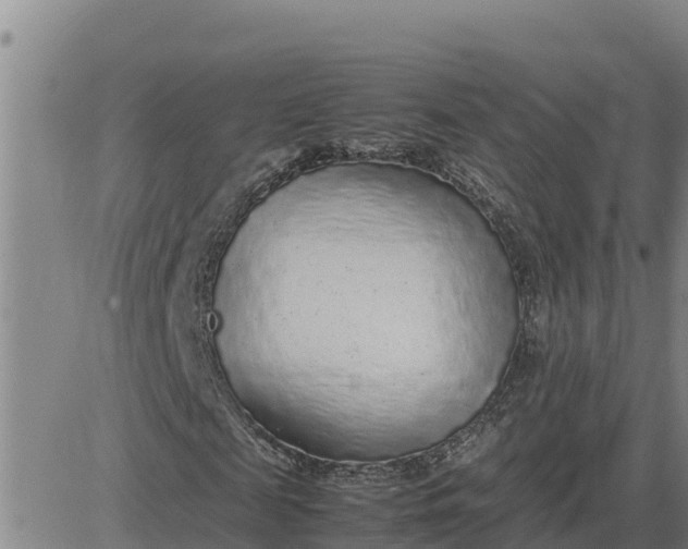 X0000080680817200612301422