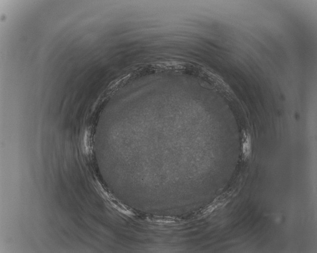 X0000080680819200612301422