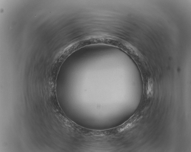 X0000080680822200612301422