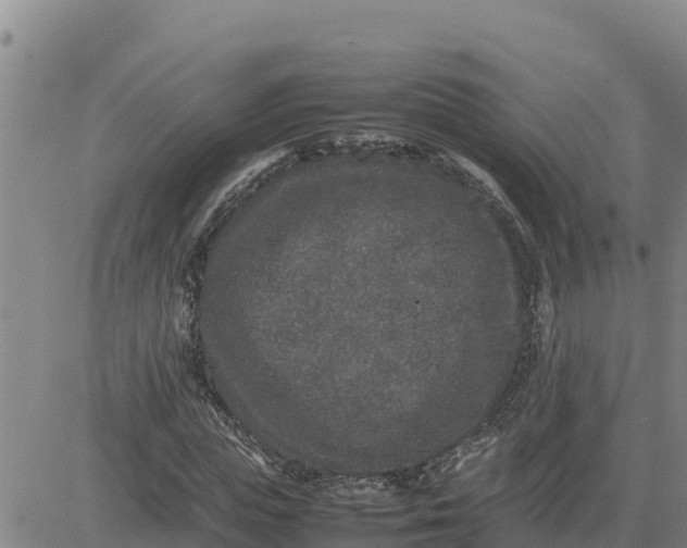 X0000080680823200612301422