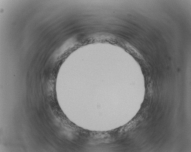 X0000080680824200612301422