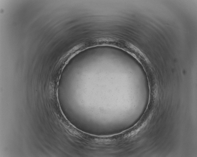 X0000080680825200612301422