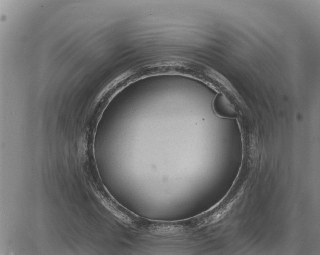 X0000080680826200612301422