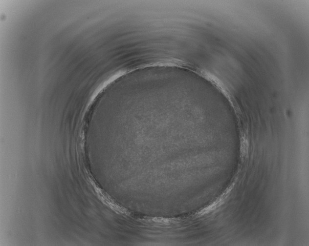 X0000080680827200612301422