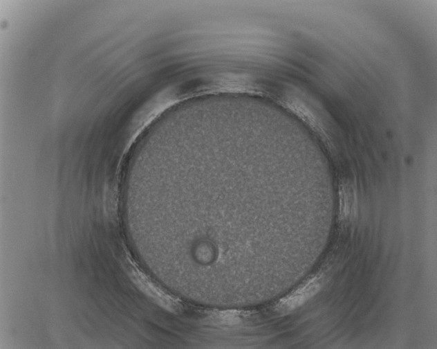 X0000080680828200612301422